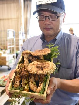 例年より早く、夏マツタケ初競り 岐阜・飛騨、天然物１０本 | 岐阜新聞Web