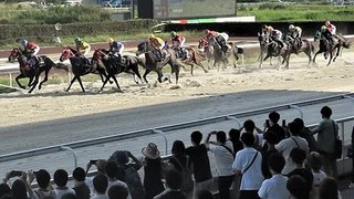 国枝栄調教師「アーモンドアイ」「笠松競馬、オグリキャップ」を