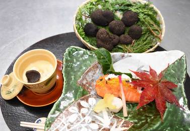 驚きの発見！高山市の山中で黒トリュフ 旅館の元料理長が入手 最初に