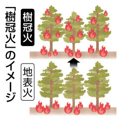 樹冠火で延焼拡大か 地形険しく消火も困難 | 岐阜新聞デジタル