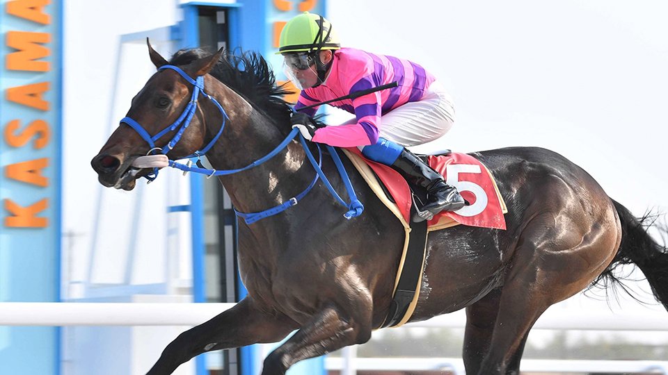 ＪＲＡ新人Ｖ一番乗り 田口貫太騎手、笠松競馬場で初勝利 １番人気に