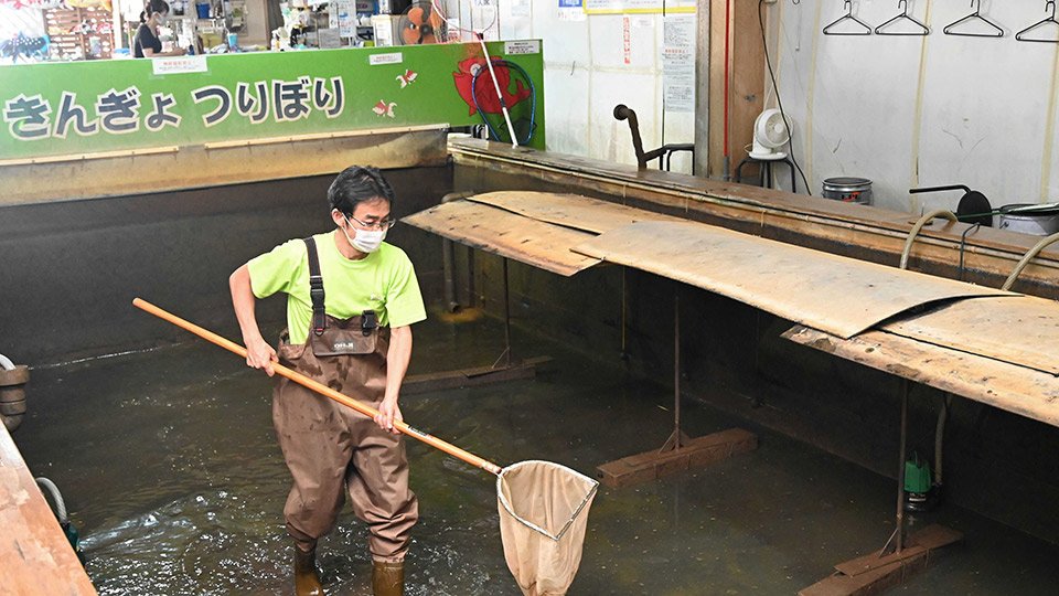 釣り堀の魚３０００匹死亡 苦しんだ魚にわびて 侵入盗が電気配線切断で酸欠か 岐阜 土岐市 岐阜新聞web