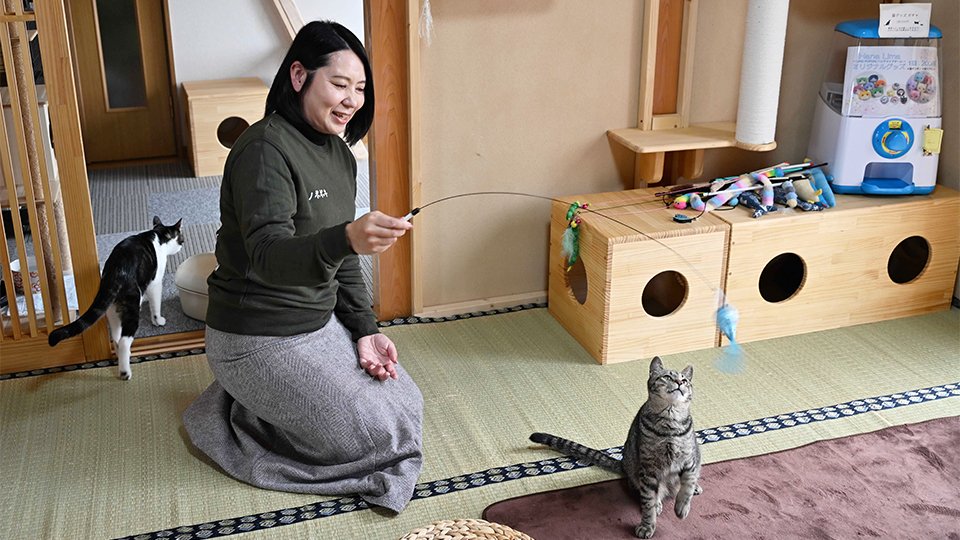 猫は人と人をつなげる」猫カフェ併設B型事業所、本巣市に 猫は人と人をつなげる」猫カフェ併設B型事業所、本巣市に
