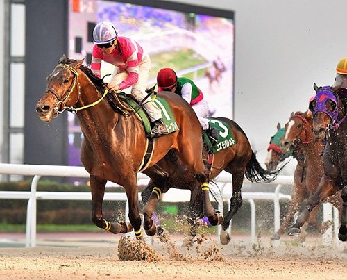 オグリキャップ記念の１着賞金、2000万円に大幅アップ（笠松競馬