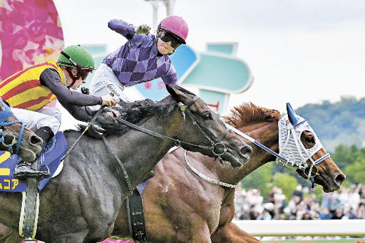 競馬 オークス 今村、歴史的GⅠ勝利 JRA所属女性初 デビュー5年目