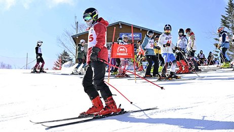 スキー大回転用フラッグ スキー大回転用フラッグ