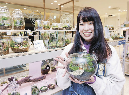 苔テラリウムが日常の癒しに！